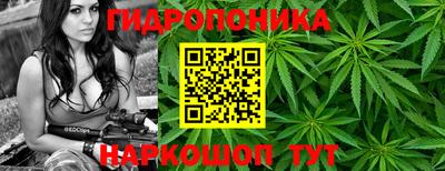 молекула духа Заводоуковск